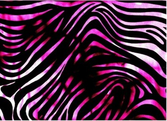 Animal Print Wallpaper Wallpaper55 Best For Pcs