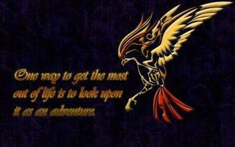 Pidgeot Pok Mon Fondos De Pantalla HD