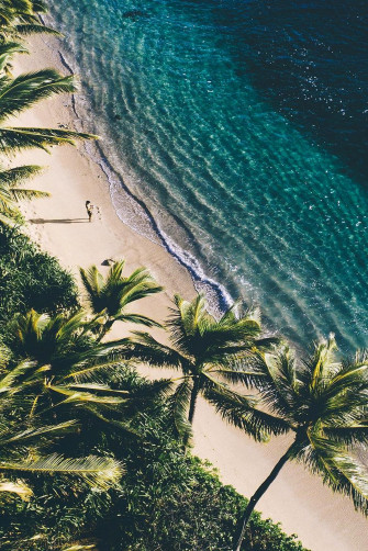 Summer Aesthetic Wallpaper
