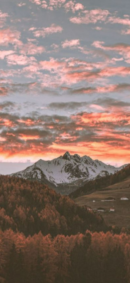 Top Best Aesthetic Nature iPhone Wallpaper Hq