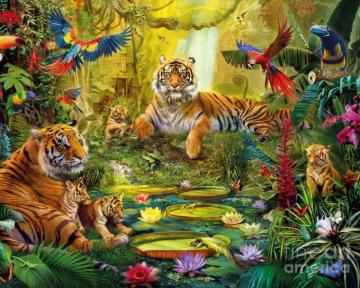 August By Stephen Comments Off On Jungle HD