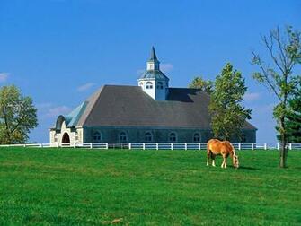 Farm Lexington Kentucky Cool Background And Wallpaper For