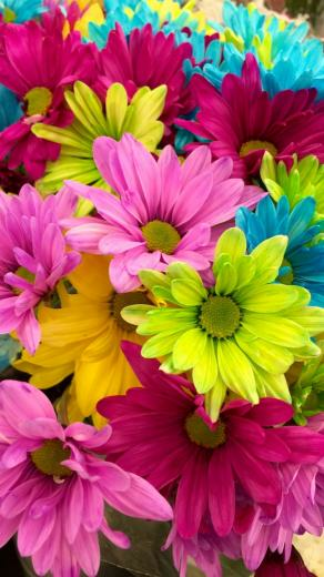 Live Love Laugh Making Everything Beautiful Flower Flowers