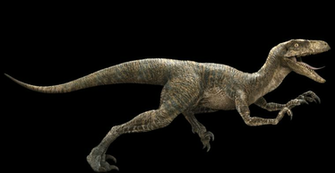 Jurassic World Velociraptor By Sonichedgehog2