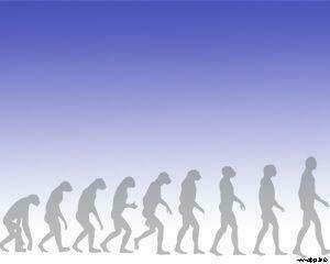 Human Evolution Ppt