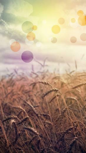 Country Wallpaper For iPhone Rainbow 5s
