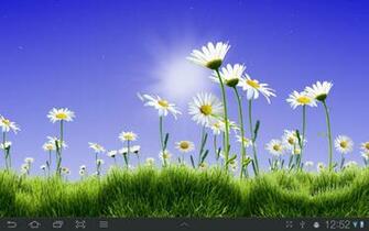 Google Wallpaper Spring Wildflowers