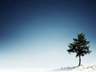 Labels Nature And Landscapes Wallpaper Normal Resolutions