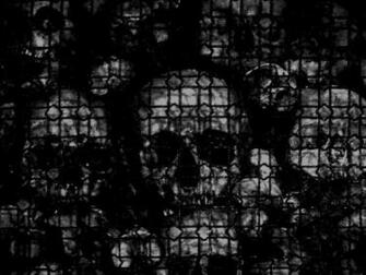 Skull Background Wallpaper