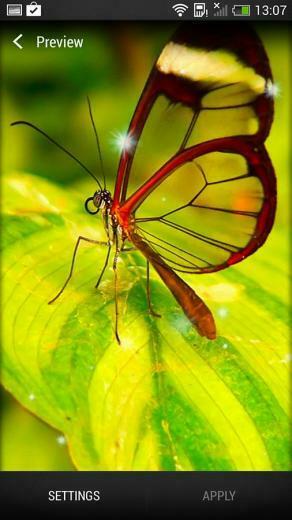 Live Butterfly Screensavers Memes