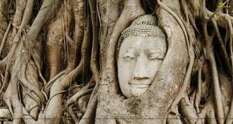 Buddha HD Wallpaper Widescreen
