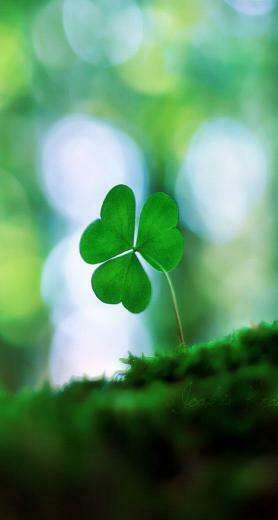 St Patrick S Day iPhone Wallpaper Color Glitter Sparkle Glow Col