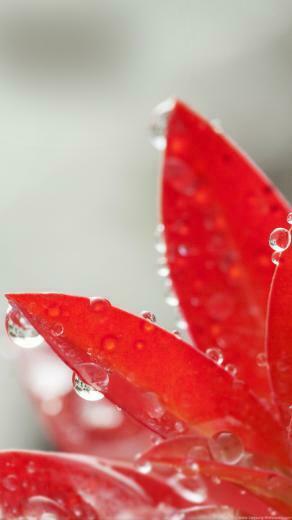 Wallpaper Very Good Lock Screen G Samsung Galaxy S Iii