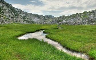 Small Stream On The Green Field Wallpaper