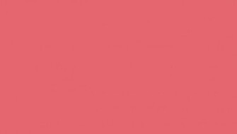 Pink Solid Color Background And The Below