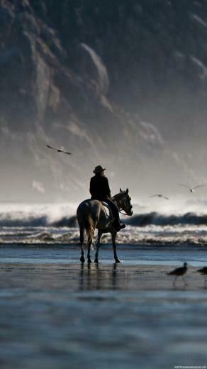 Horse Rider Bird Sea Beach iPhone Wallpaper HD Plus Background