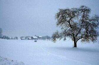 Wallpaper Zh Winter Nature Pictures
