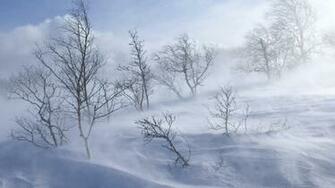 Wallpaper For Desktop HDtv 1080p Windy Winter Day