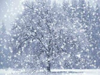 Snow Falling Wallpaper