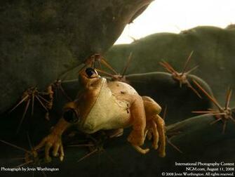 This Final Shot From National Geographic Unfortunately Breaks With My