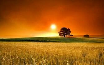 Wallpaper Windows Xp Desktop Windows7