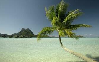 Definition Wallpaper Photo Beautiful Html