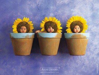Anne Geddes Wallpaper Desktop Photography Photos