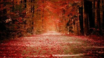 Autumn Nature Wallpaper HD Pictures One