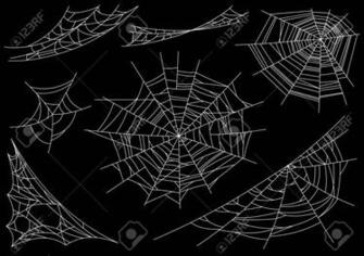 Collection Of Cobweb Isolated On Black Png Image Pngio