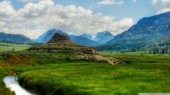 Creek In Yellowstone Wallpaper