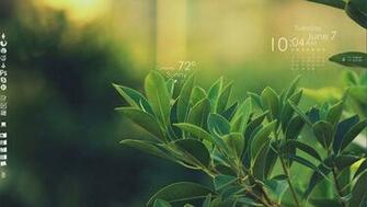 The Green Leaves Desktop