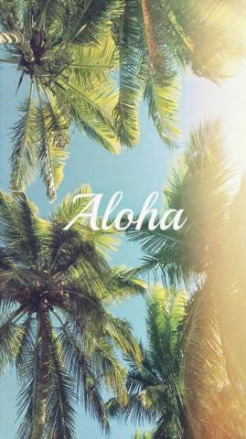 Beach iPhone Wallpaper HD Quality Best Background