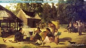 Choctaw Tribe History Facts Video Lesson Transcript Study