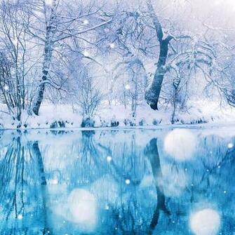Ios7 Snow Wood Parallax HD iPhone iPad Wallpaper