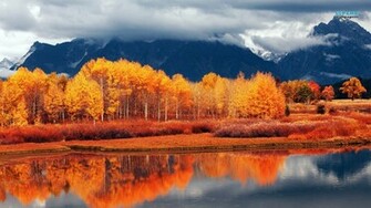 Widescreen Panoramic Type Wallpaper For N