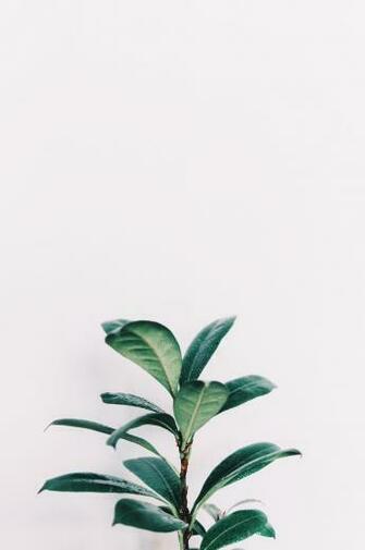 Minimalist Aesthetic Wallpaper Top