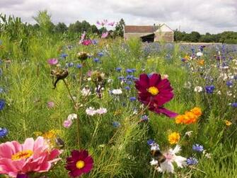 Taste Of French Countryside Loire Vall Wallpaper