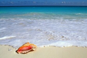 Cool Ocean Wallpaper Part