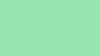 Deer Solid Color Background And The Below