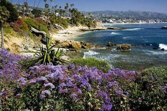 Laguna Beach Wallpaper