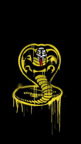 Cobra Kai Wallpaper Top Background