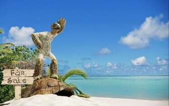 Humor Animal Wallpaper Background HD Desktop