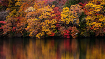 Enjoy The Colorful Changing Of Seasons With A 4k Fall Wallpaper