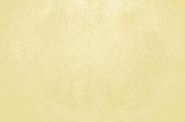 Butterscotch Yellow Leather Close Up Texture Picture