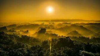 Jungle Sunset Wallpaper HD Pulse