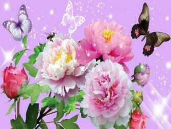 Flowers And Butterflies Yorkshire Jpg