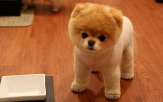 HD Wallpaper Cute Jpg Top Site