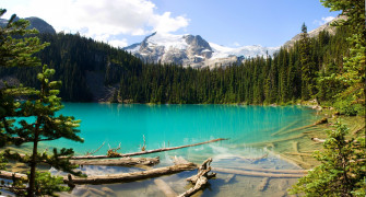 British Columbia Canada Lake Forest Mountain Turquoise Water Wallpaper