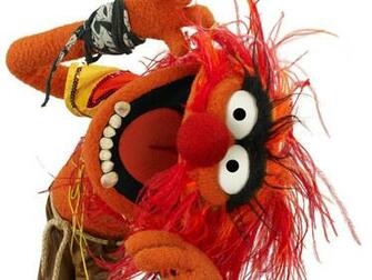Muppets Animal Wallpaper Imagui