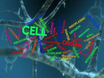 Biochemistry Wallpaper